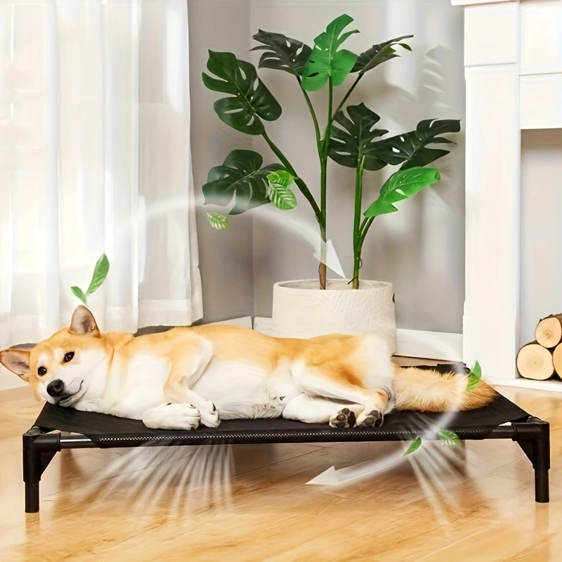 Cooling Elevated Dog Bed - Rai - Outdoor Camping Couch recension och pris